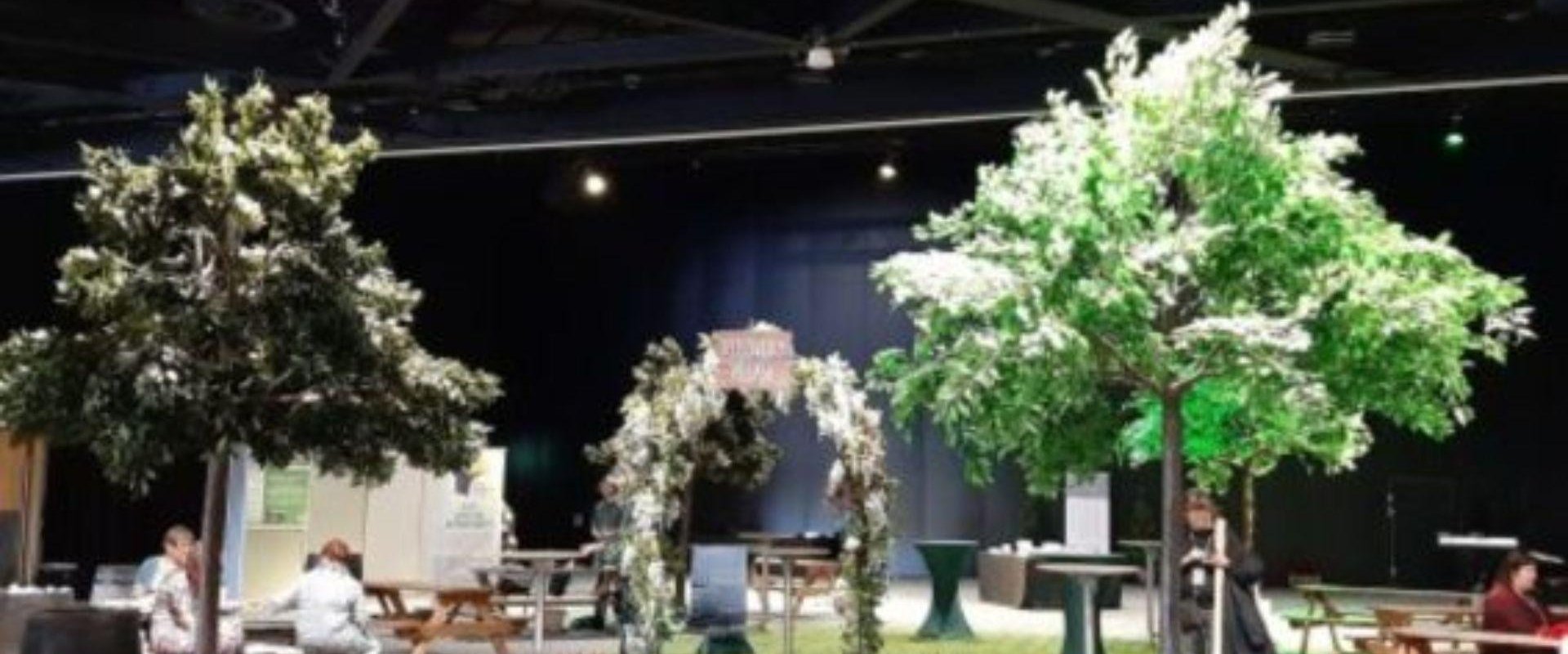 Image of the set up for a Mental Health Conference, there are trees on either side with some small bushes in surrounding an arch way created with various leaves and flowers.