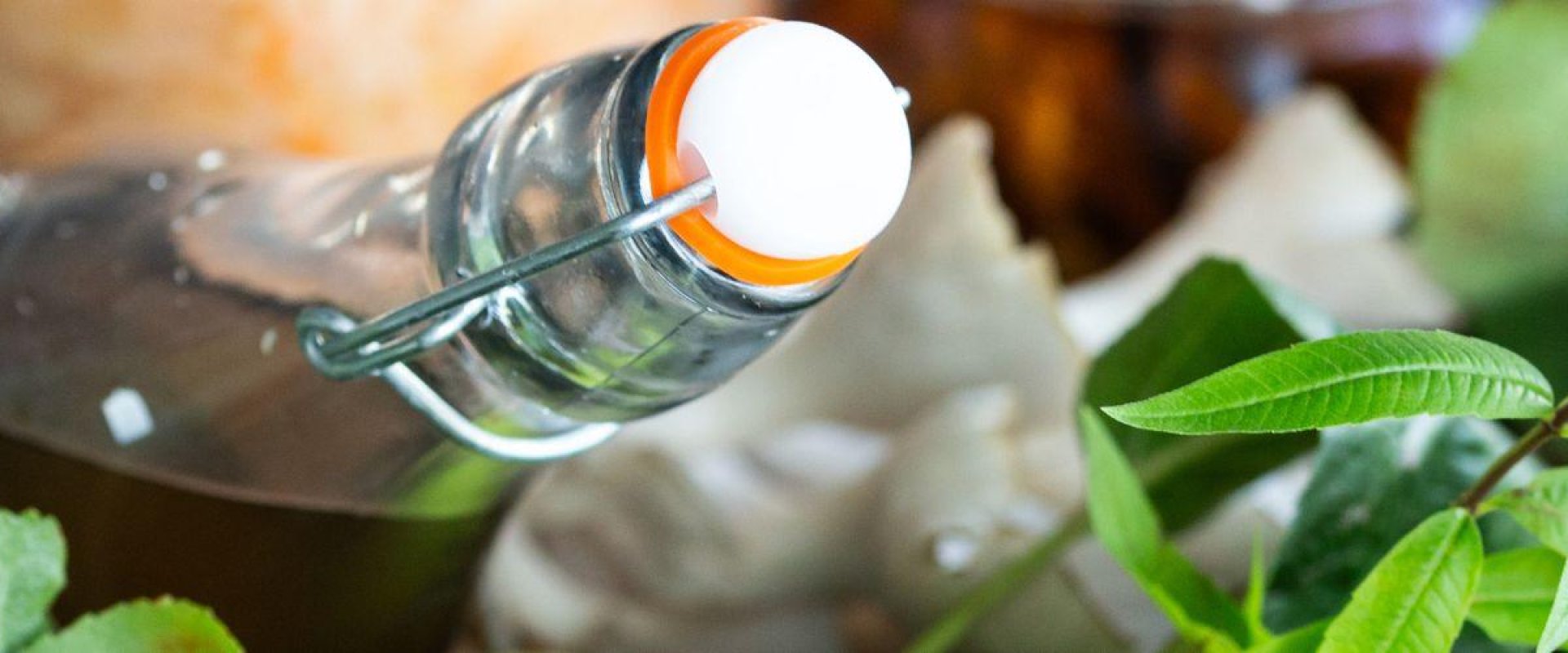 Close up of glass bottle and green leaves