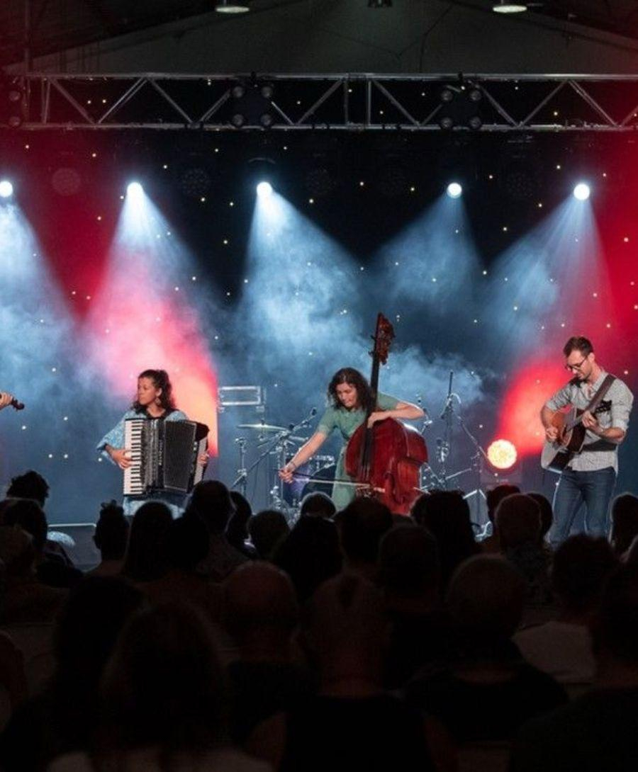 Your Roots Are Showing taking place on stage with an audience observing. Strobe lights are on display and each of the five band members are playing an instrument.