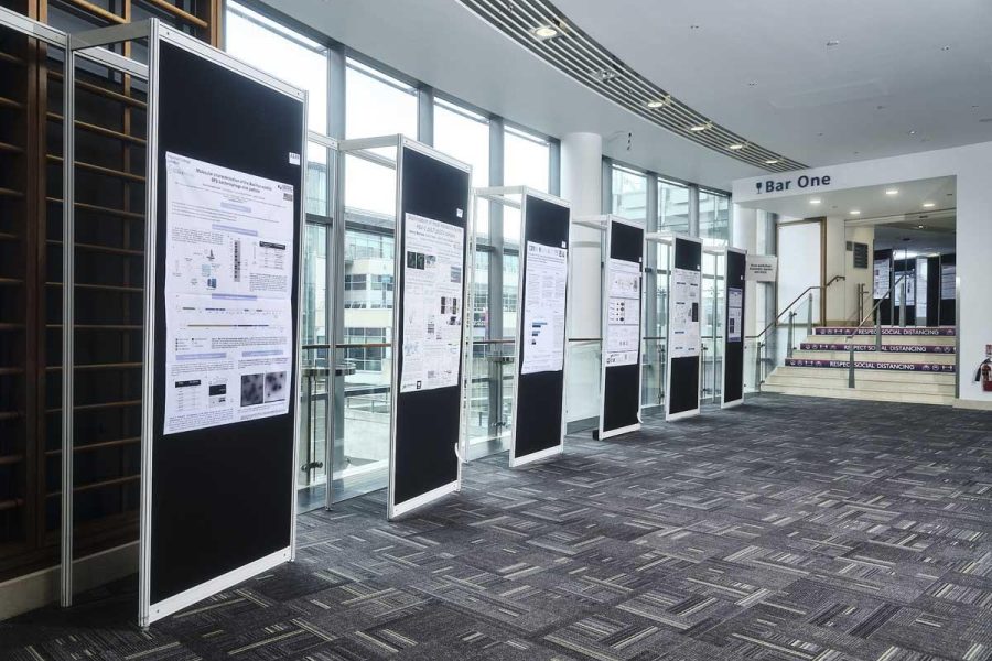 Posterboards located in Gallery 1